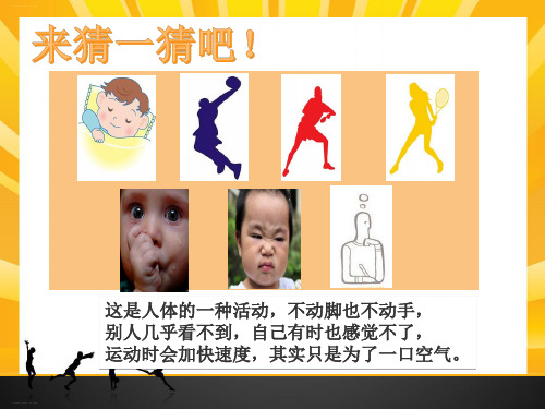 四年级上册科学课件运动起来会怎样(一)教科版(共13张PPT)