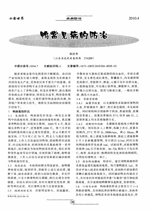 鸭常见病的防治