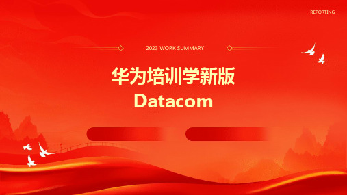 2024版华为培训学新版Datacom