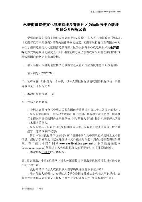 宣传文化氛围营造及为民服务中心改造项目招投标书范本