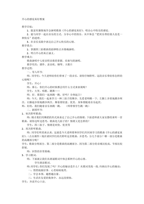 开心的感觉真好教案