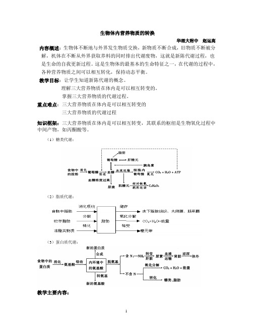 生物体内营养物质的转换