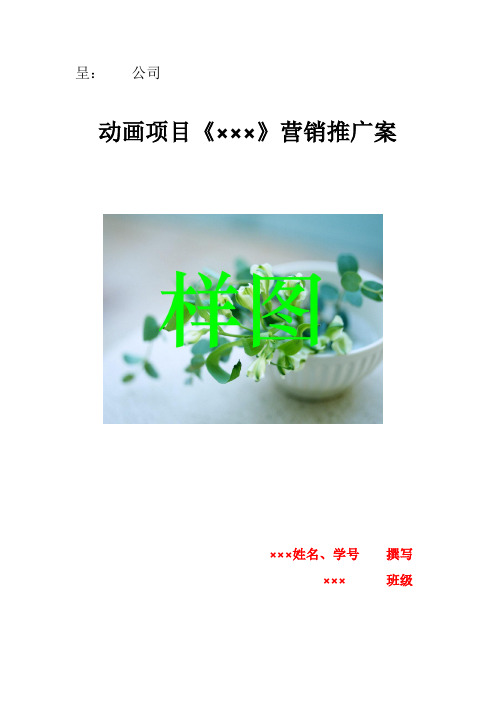 动画片营销策划案(DOC)