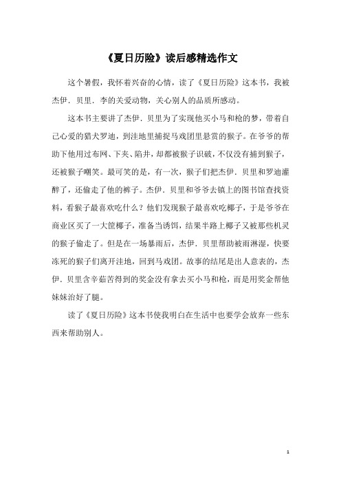 《夏日历险》读后感精选作文