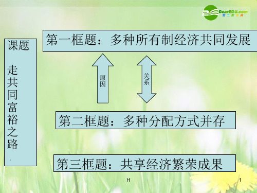 九年级政治 走共同富裕的道路课件 苏教版