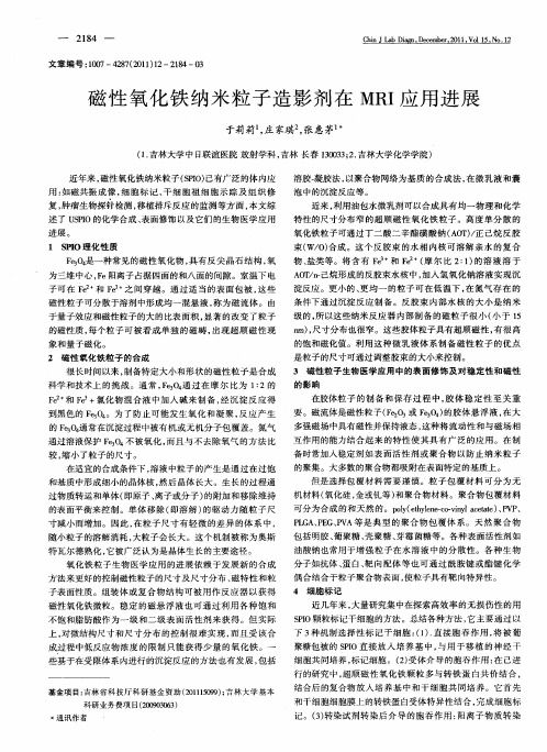 磁性氧化铁纳米粒子造影剂在MRI应用进展