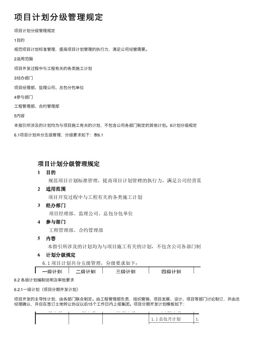 项目计划分级管理规定