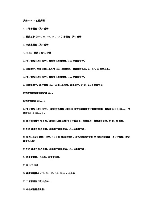 TUNEL实验步骤