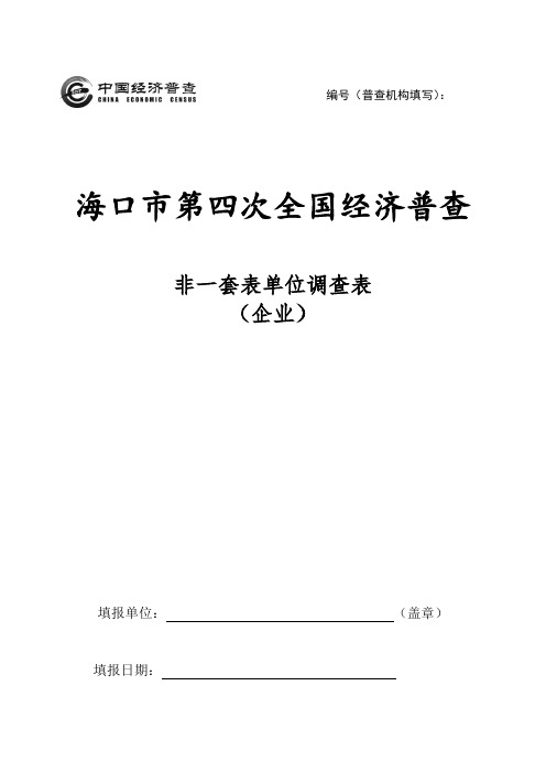 全国第四次经济普查表格下载(海口)