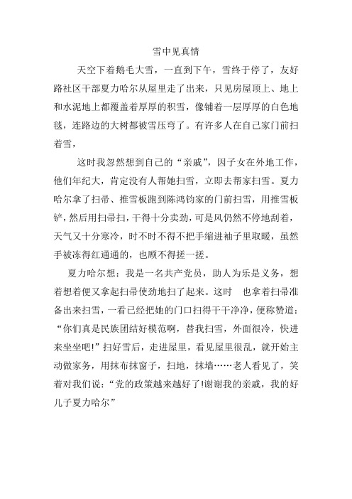 雪中见真情