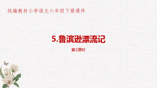 部编人教版统编教材小学语文六年级下册第2单元《鲁滨逊漂流记》第2课时PPT课件