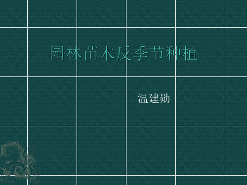 园林苗木反季节种植