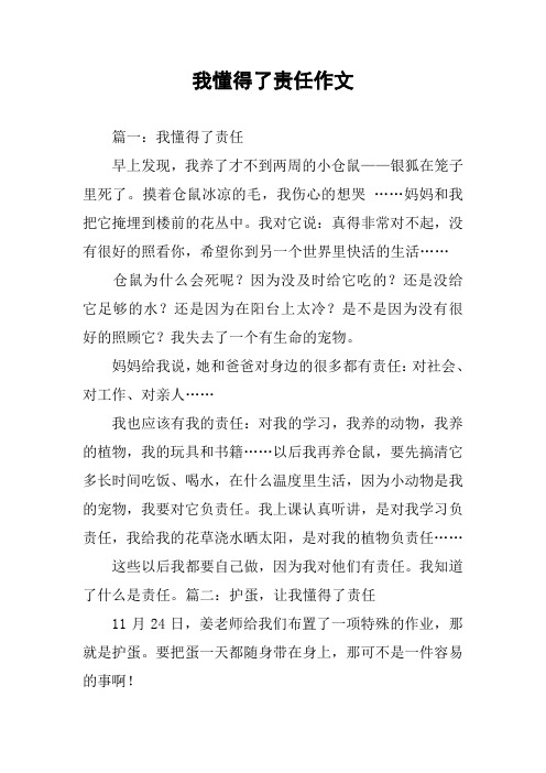我懂得了责任作文