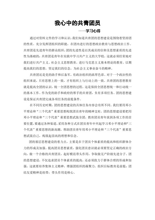 我心中的共青团员--读书笔记