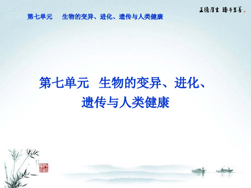 2013年高考生物二轮专题突破总复习 第19讲 生物变异的来源课件 新人教版