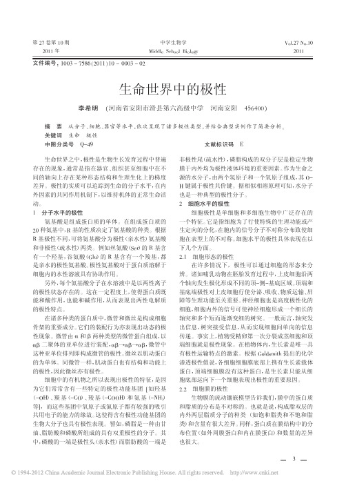 生命世界中的极性