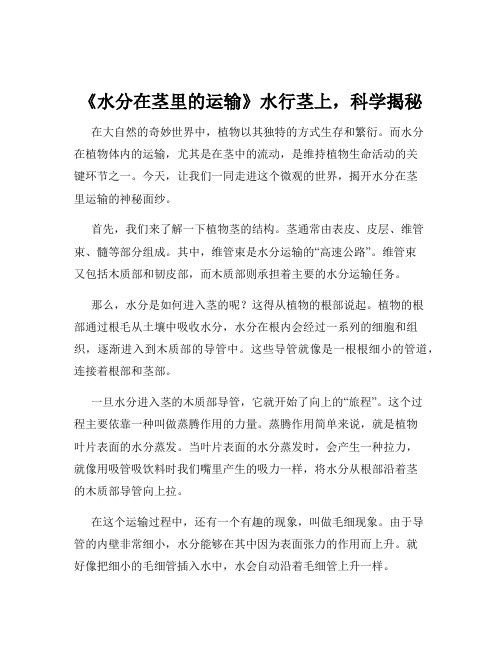 《水分在茎里的运输》水行茎上,科学揭秘