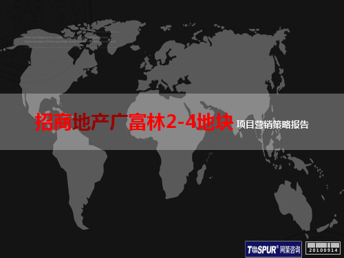 上海招商地产广富林24地块营销报告上