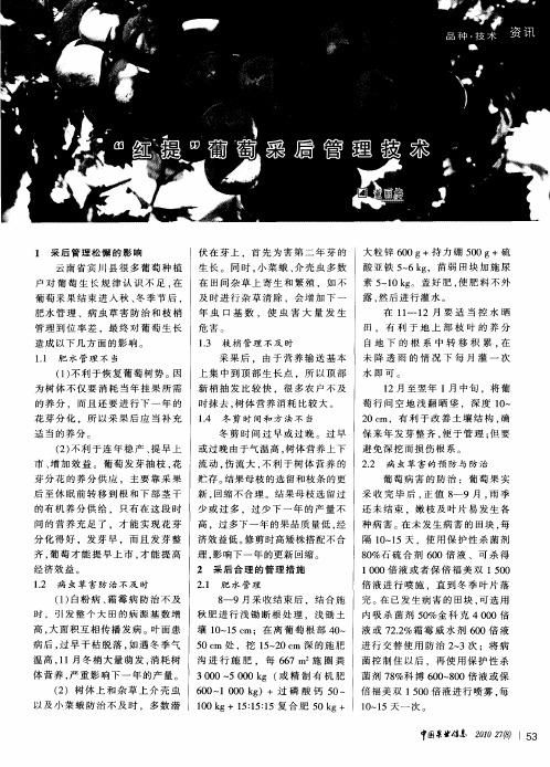“红提”葡萄采后管理技术