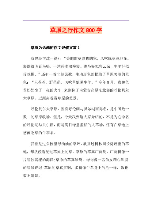 草原之行作文800字