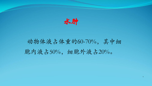 动物病理-水肿