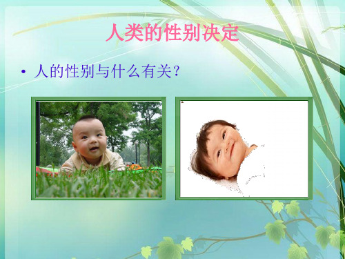 初中生物 生物的遗传 PPT课件 图文