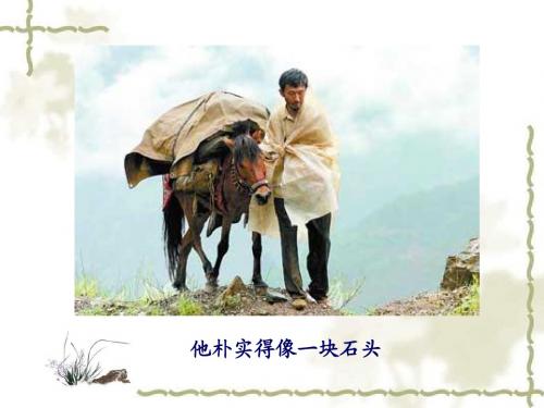 《信客》课件