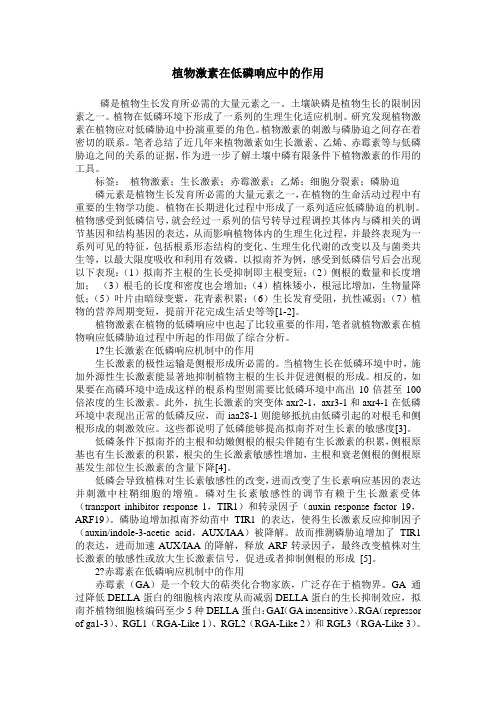 植物激素在低磷响应中的作用