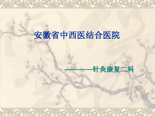 三九贴ppt
