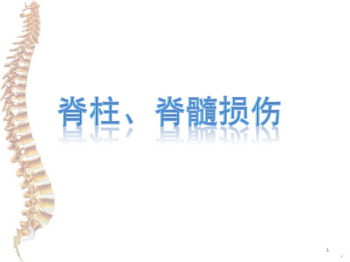 脊柱脊髓损伤PPT课件