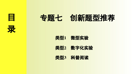 中考化学复习  专题七 创新题型推荐