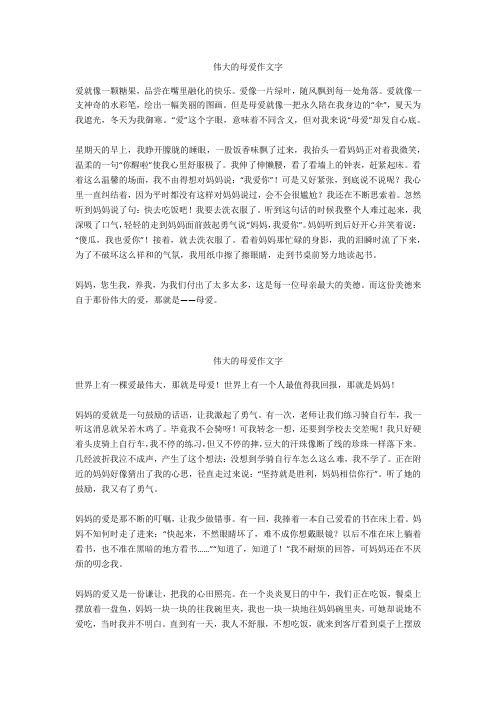 伟大的母爱作文500字_1