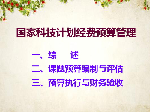 国家科技计划经费预算管理(PPT 109页)