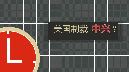 金融英语——美国制裁中兴ppt报告