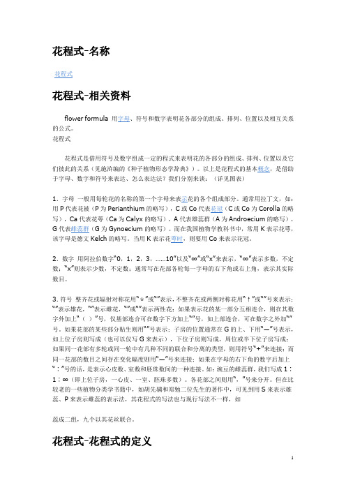 花程式