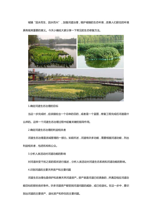 河道生态修复技术
