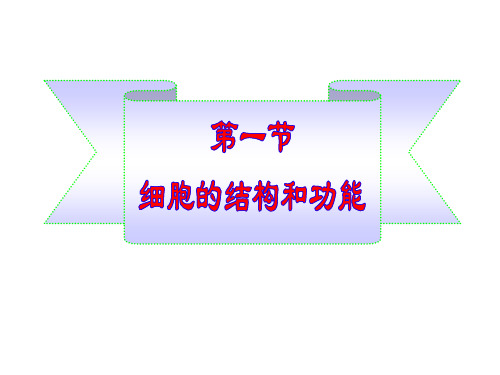 细胞的结构和功能(课件)
