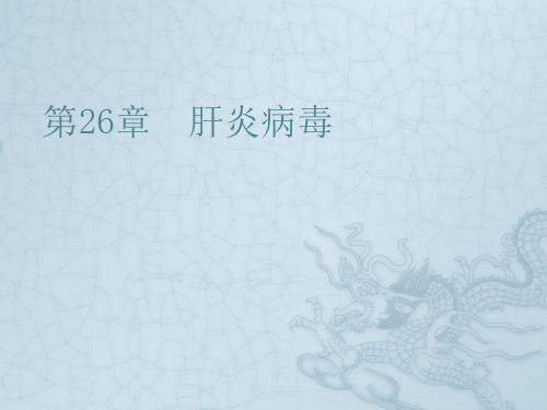 第26章 肝炎病毒