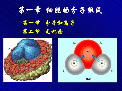 第一节分子和离子   第二节无机物