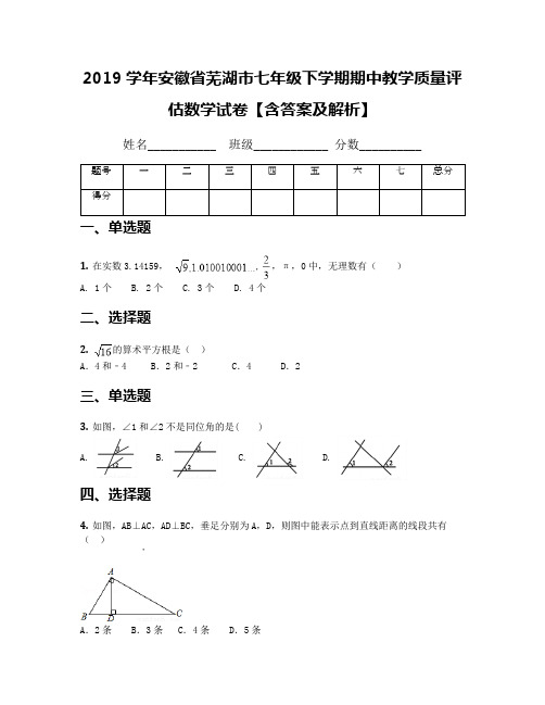 2019学年安徽省芜湖市七年级下学期期中教学质量评估数学试卷【含答案及解析】