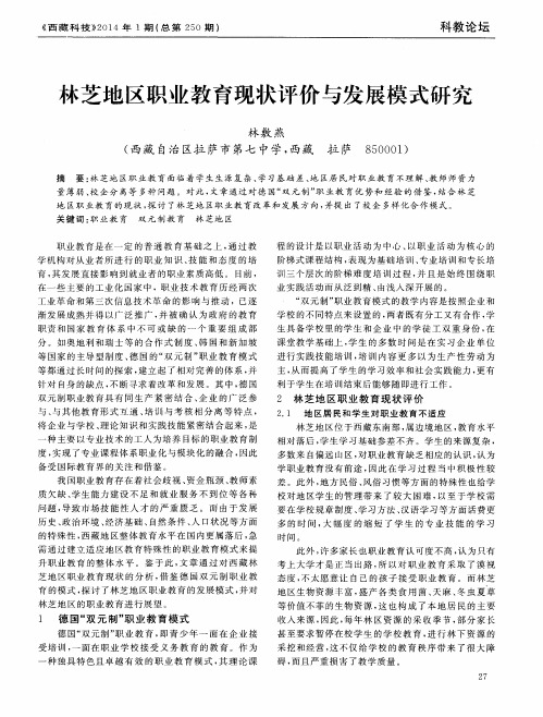 林芝地区职业教育现状评价与发展模式研究