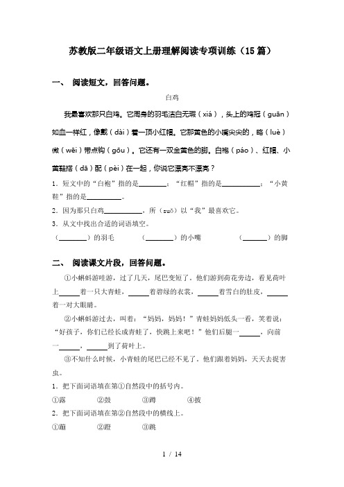 苏教版二年级语文上册理解阅读专项训练(15篇)