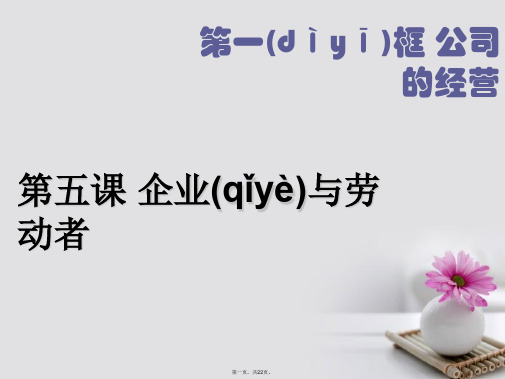 高中政治2.5.1公司的经营课件新人教版必修1