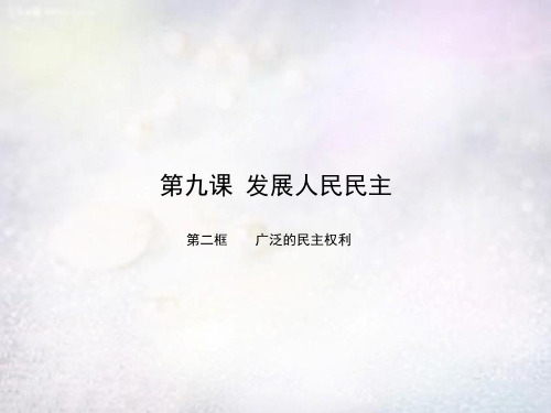 苏教版初三下册政治9.2广泛的民主权利PPT课件(10)