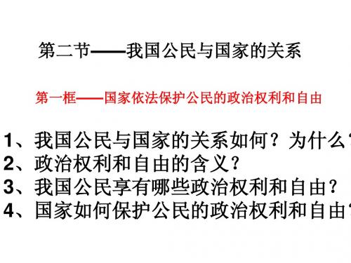 国家依法保护公民的政治权利和自由ppt