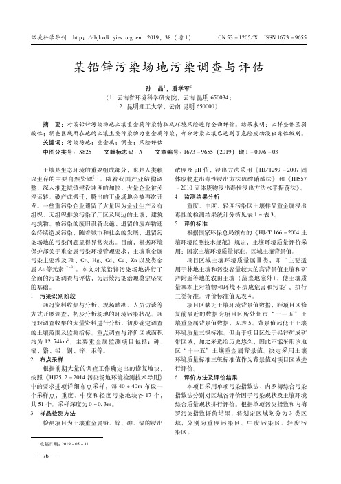 某铅锌污染场地污染调查与评估