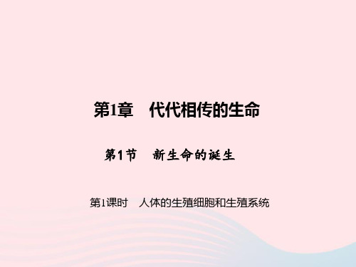 七年级科学下册第1章第1节新生命的诞生(第1课时人体的生殖细胞和生殖系统)习题课件浙教版