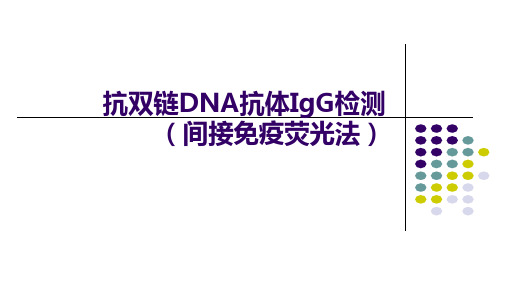 抗双链DNA抗体IgG检测