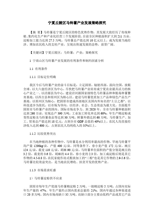 宁夏丘陵区马铃薯产业发展策略探究