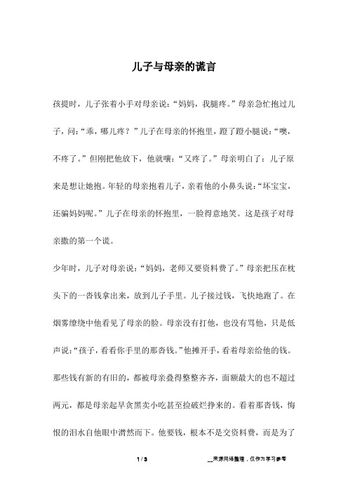 儿子与母亲的谎言_爱情故事
